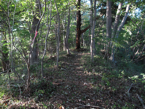 20171026hike (420)